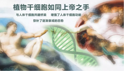 年輕之鑰 干細(xì)胞技術(shù)的突破與應(yīng)用前景