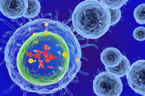 細(xì)胞治療 以生命修復(fù)生命，干細(xì)胞技術(shù)引領(lǐng)現(xiàn)代醫(yī)學(xué)革命